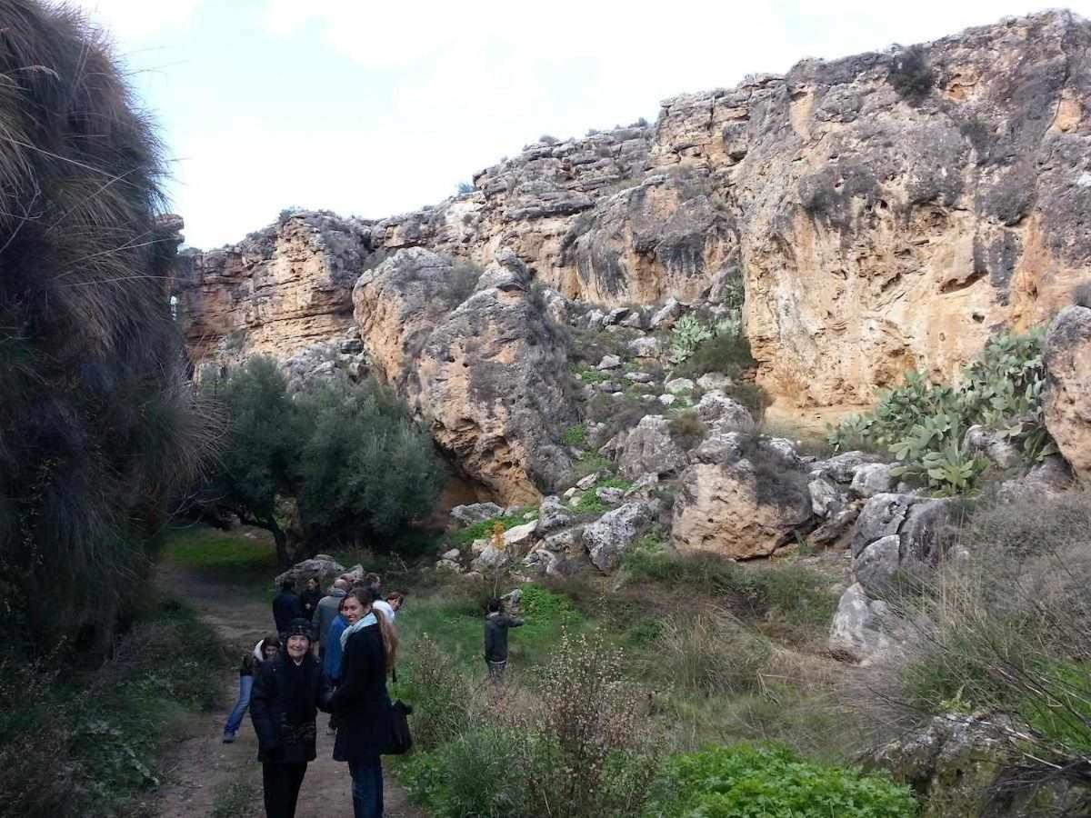 بورويينا Habitat Troglodita Almagruz المظهر الخارجي الصورة