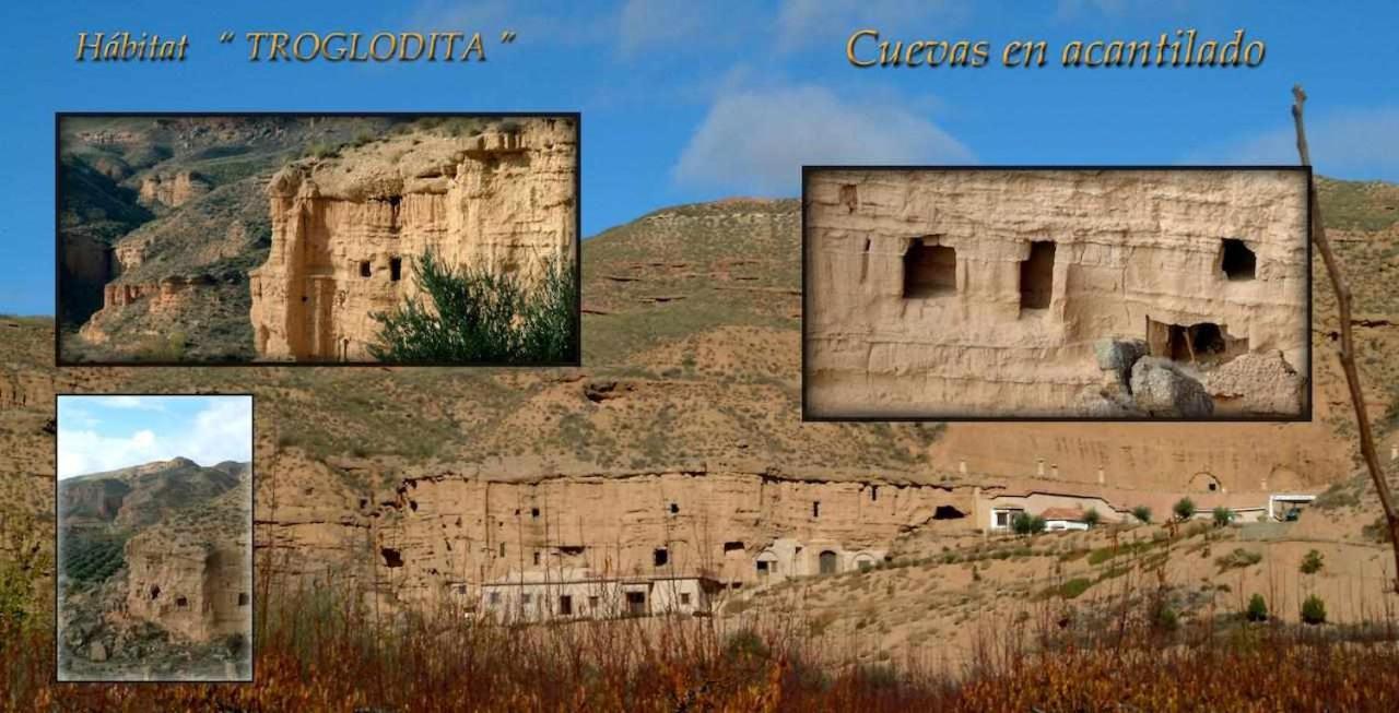 بورويينا Habitat Troglodita Almagruz المظهر الخارجي الصورة