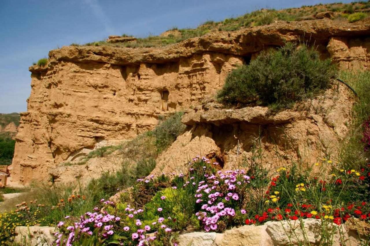 بورويينا Habitat Troglodita Almagruz المظهر الخارجي الصورة