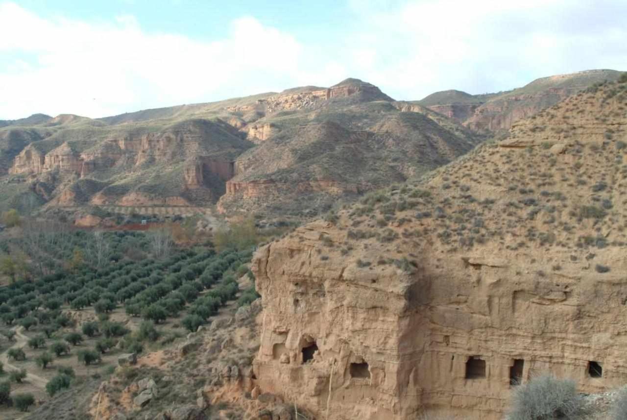 بورويينا Habitat Troglodita Almagruz المظهر الخارجي الصورة