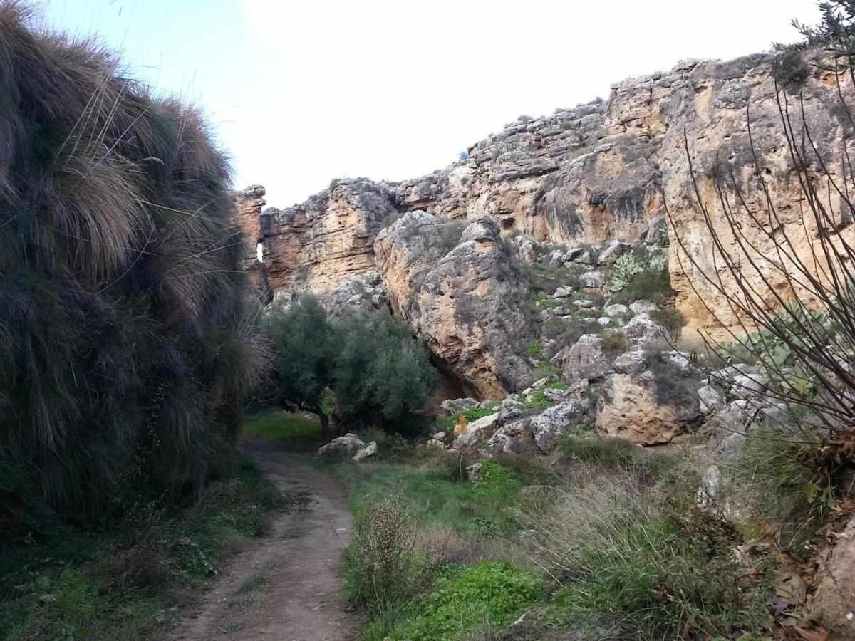بورويينا Habitat Troglodita Almagruz المظهر الخارجي الصورة