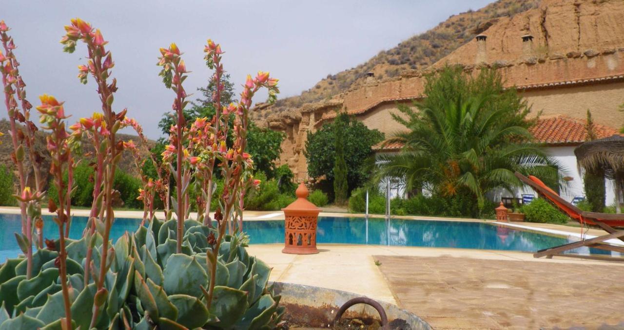بورويينا Habitat Troglodita Almagruz المظهر الخارجي الصورة